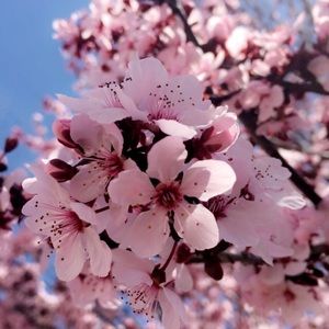 Meet your Posher, Ismael